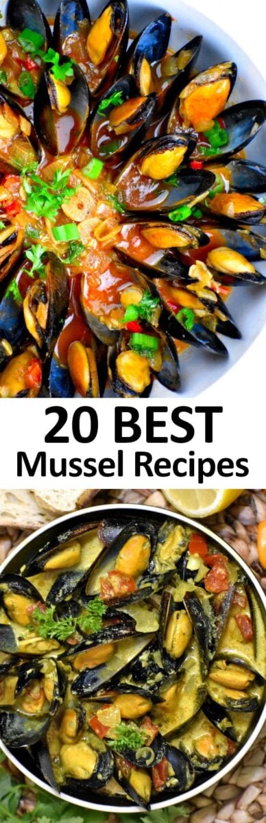 20种最佳贻贝食谱