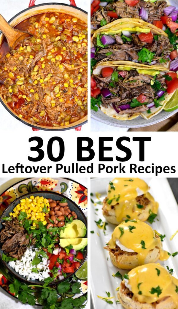 最好的剩下的猪肉食谱