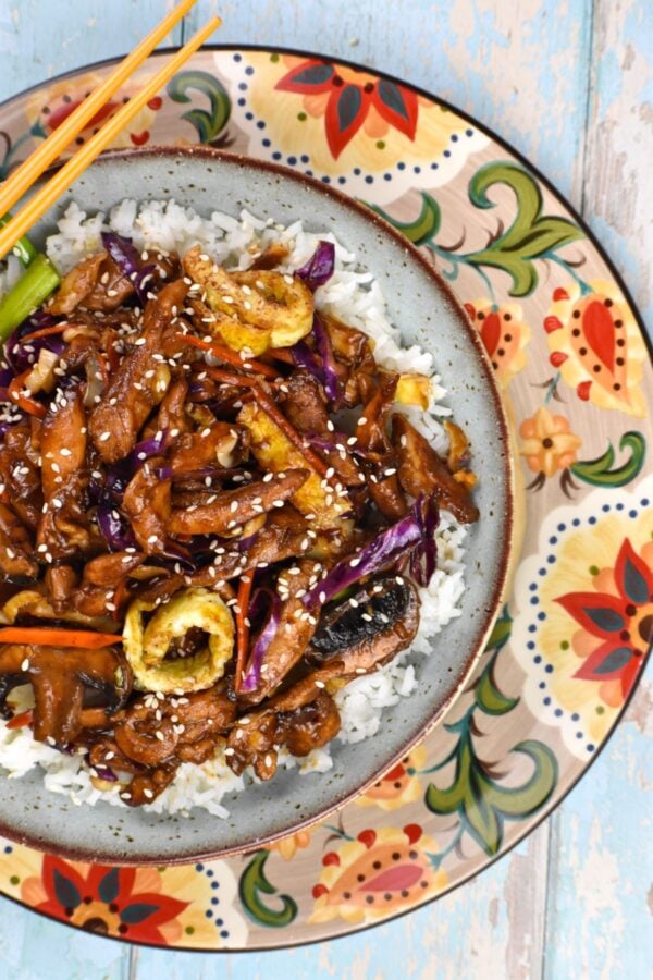 serving of moo shu chicken on the gypsy plate