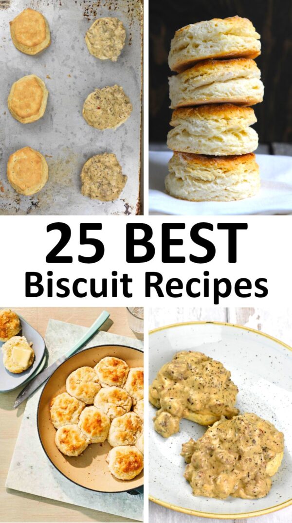 最好的饼干食谱