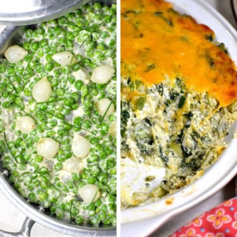 特色形象素食感恩节食谱